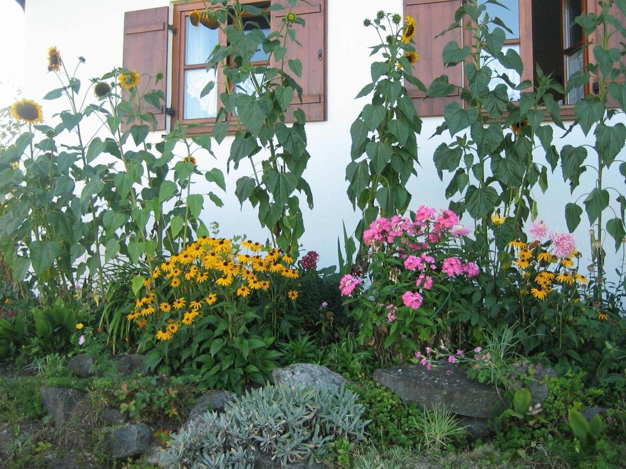 Apartment In The Allg U With View Of The Bavarian Alps Bernbeuren Esterno foto